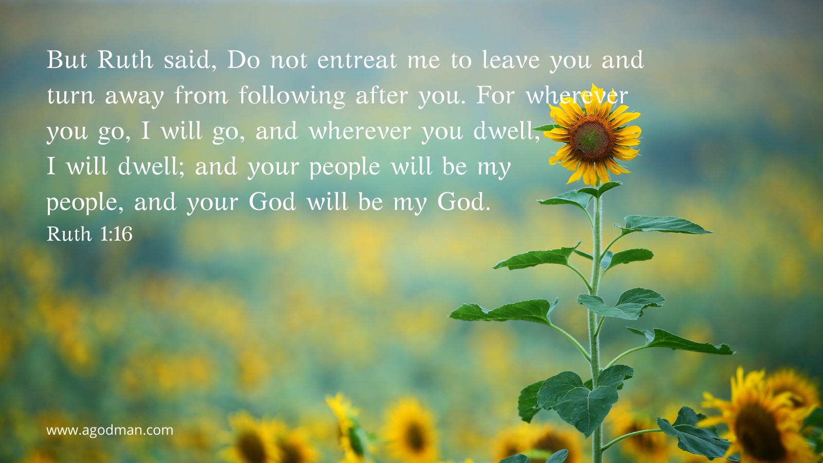 But Ruth said, Do not entreat me to leave you and turn away from following after you. For wherever you go, I will go, and wherever you dwell, I will dwell; and your people will be my people, and your God will be my God. Ruth 1:16