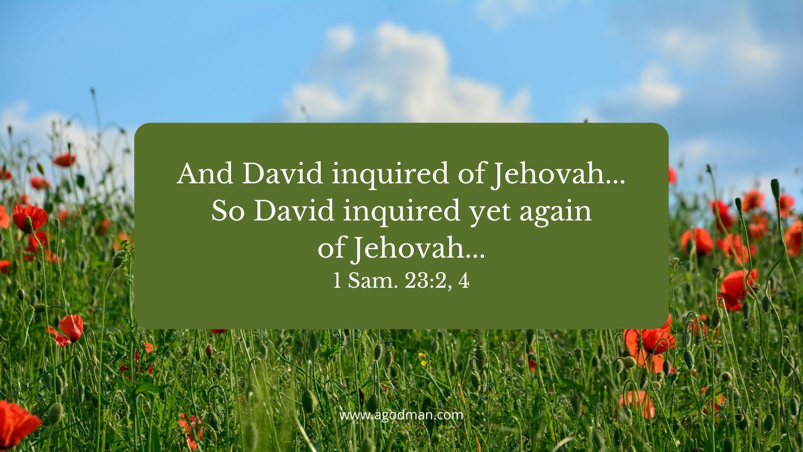 And David inquired of Jehovah...So David inquired yet again of Jehovah...1 Sam. 23:2, 4