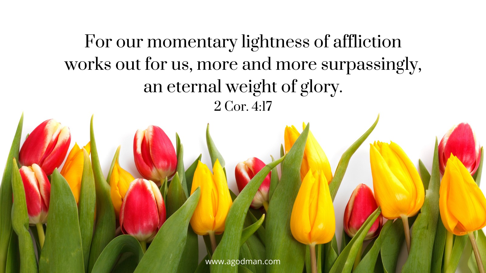 For our momentary lightness of affliction works out for us, more and more surpassingly, an eternal weight of glory. 2 Cor. 4:17