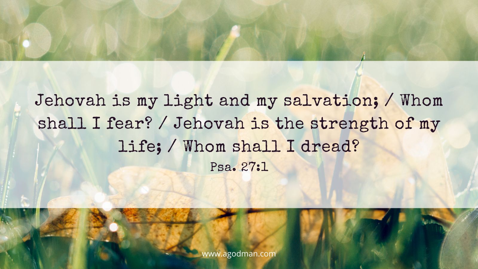 Jehovah is my light and my salvation; / Whom shall I fear? / Jehovah is the strength of my life; / Whom shall I dread? Psa. 27:1