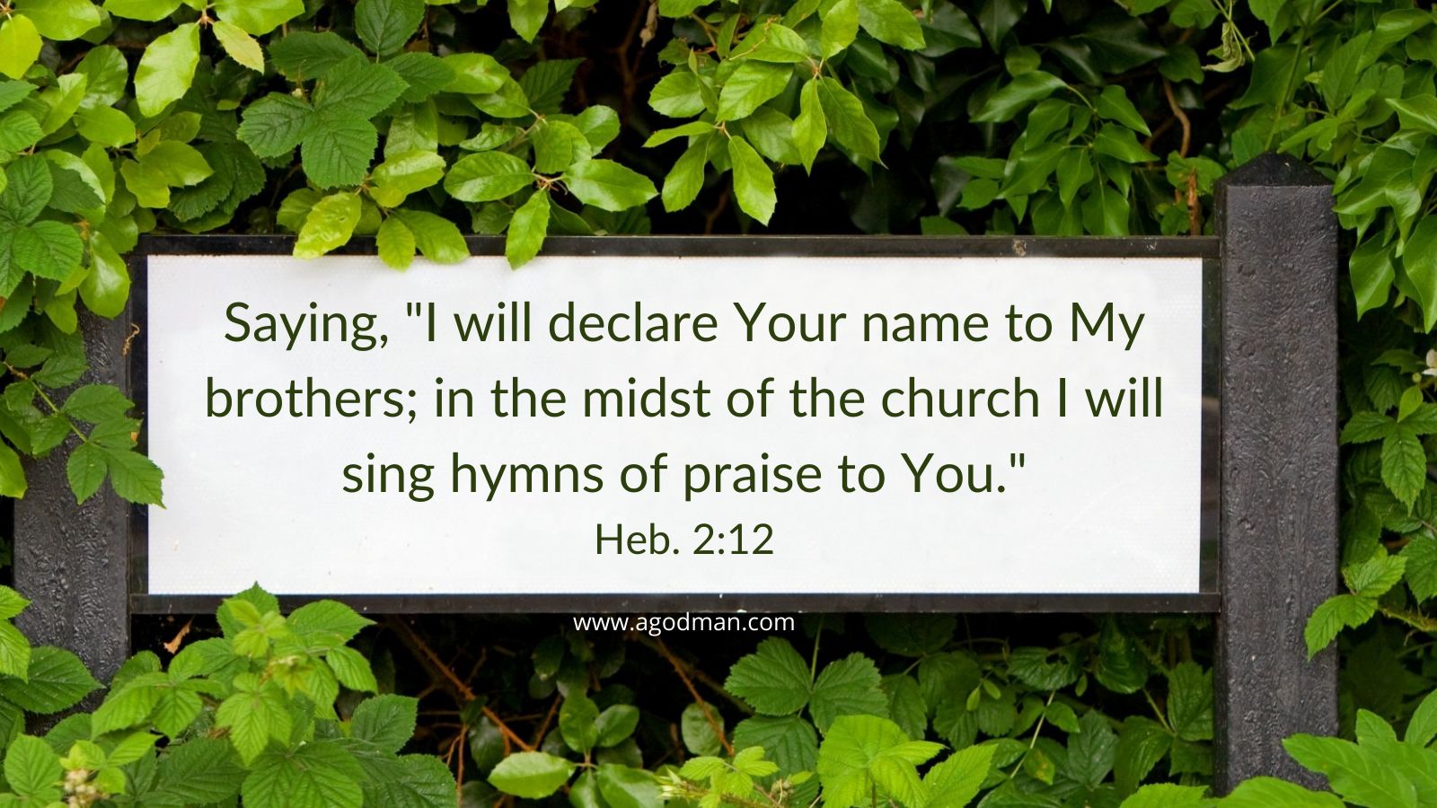 Saying, "I will declare Your name to My brothers; in the midst of the church I will sing hymns of praise to You." Heb. 2:12