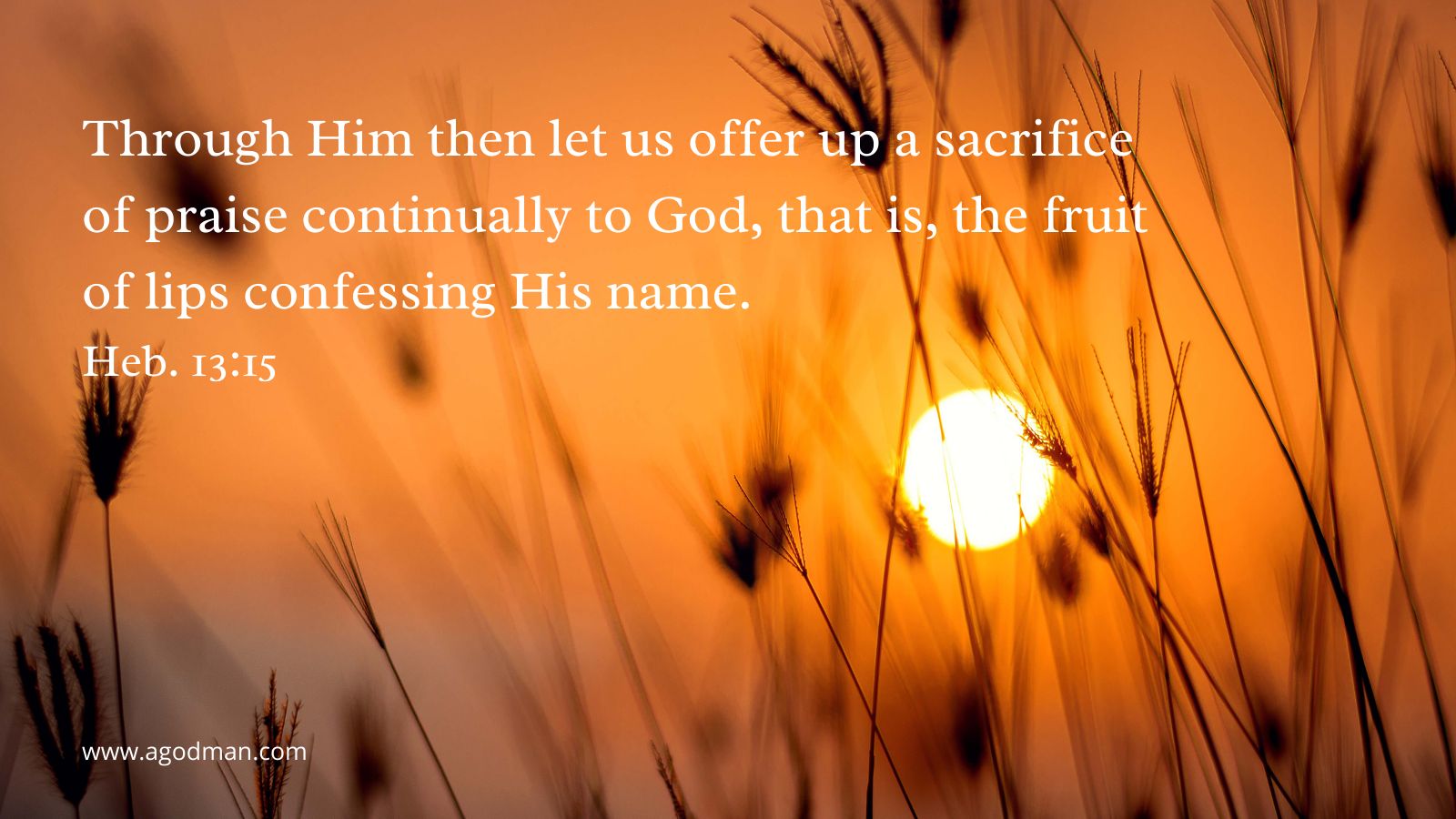 Through Him then let us offer up a sacrifice of praise continually to God, that is, the fruit of lips confessing His name. Heb. 13:15