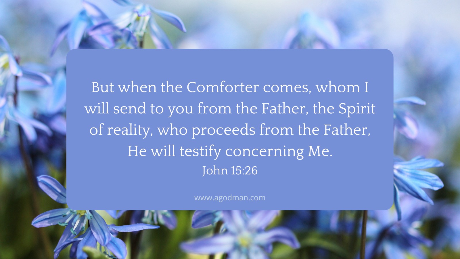 But when the Comforter comes, whom I will send to you from the Father, the Spirit of reality, who proceeds from the Father, He will testify concerning Me. John 15:26