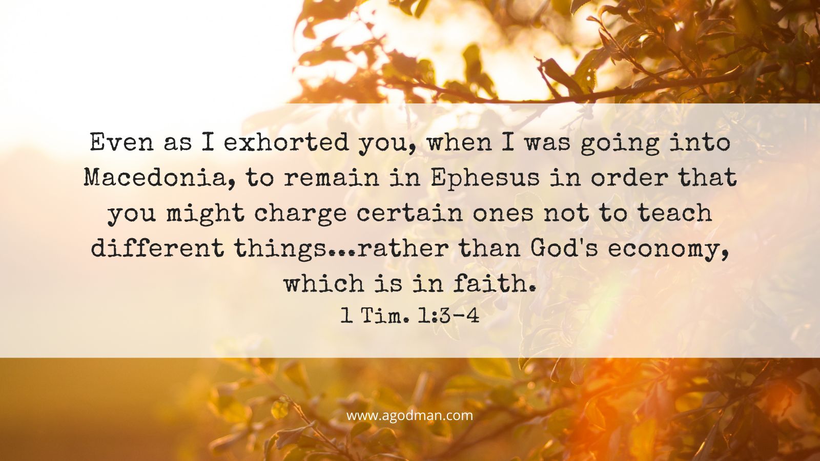 Even as I exhorted you, when I was going into Macedonia, to remain in Ephesus in order that you might charge certain ones not to teach different things...rather than God's economy, which is in faith. 1 Tim. 1:3-4