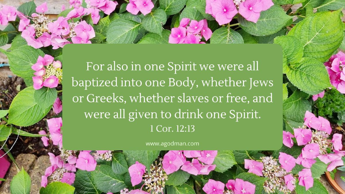 For also in one Spirit we were all baptized into one Body, whether Jews or Greeks, whether slaves or free, and were all given to drink one Spirit. 1 Cor. 12:13