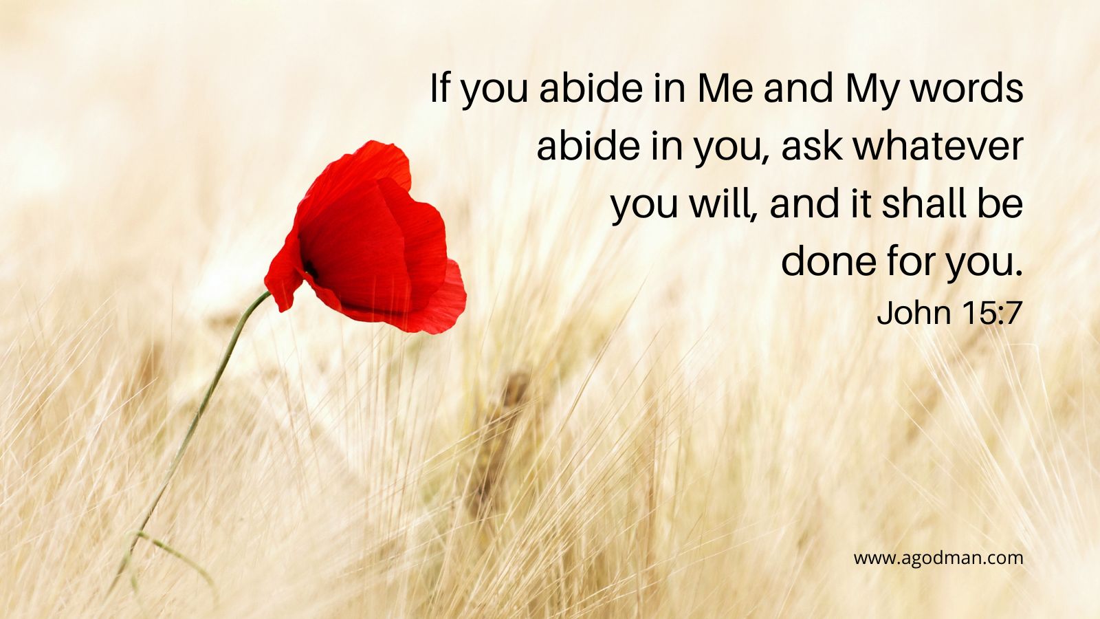 If you abide in Me and My words abide in you, ask whatever you will, and it shall be done for you. John 15:7
