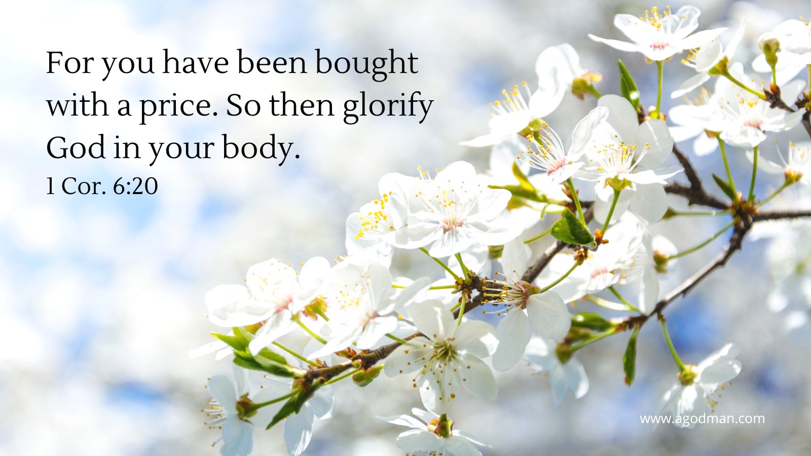 For you have been bought with a price. So then glorify God in your body. 1 Cor. 6:20