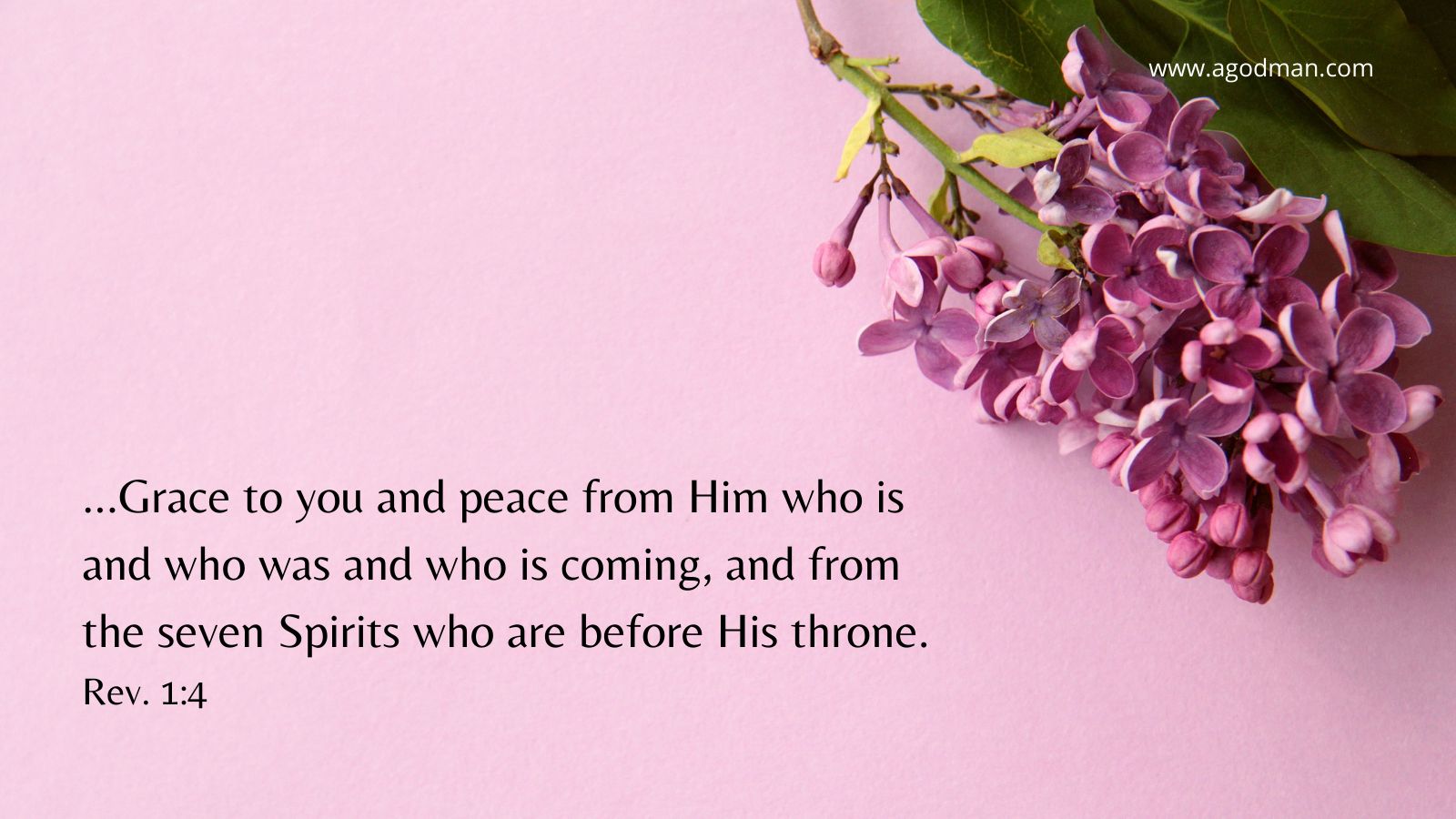 ...Grace to you and peace from Him who is and who was and who is coming, and from the seven Spirits who are before His throne. Rev. 1:4