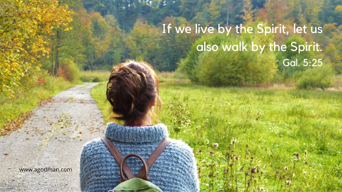 If we live by the Spirit, let us also walk by the Spirit. Gal. 5:25