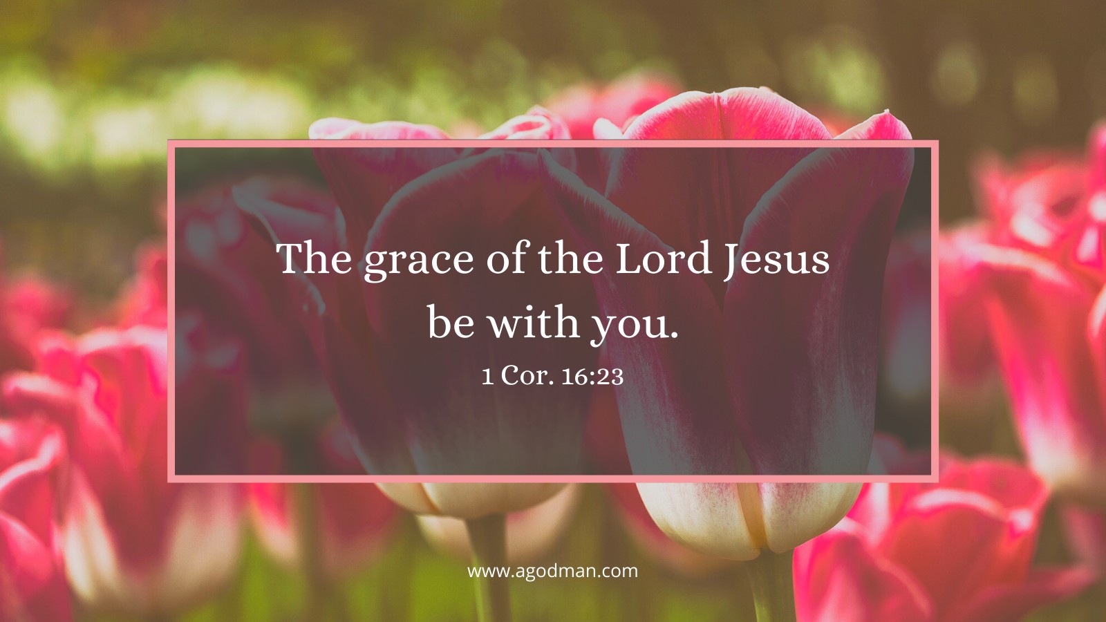 The grace of the Lord Jesus be with you. 1 Cor. 16:23