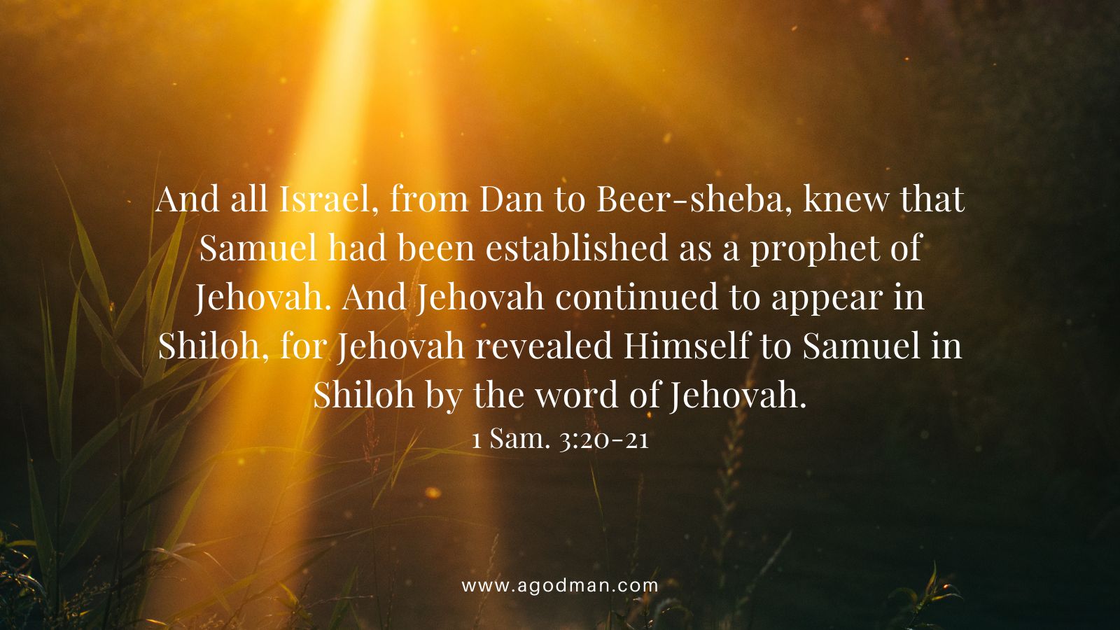 And all Israel, from Dan to Beer-sheba, knew that Samuel had been established as a prophet of Jehovah. And Jehovah continued to appear in Shiloh, for Jehovah revealed Himself to Samuel in Shiloh by the word of Jehovah. 1 Sam. 3:20-21