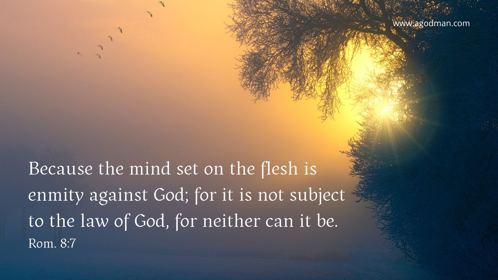 Because the mind set on the flesh is enmity against God; for it is not subject to the law of God, for neither can it be. Rom. 8:7