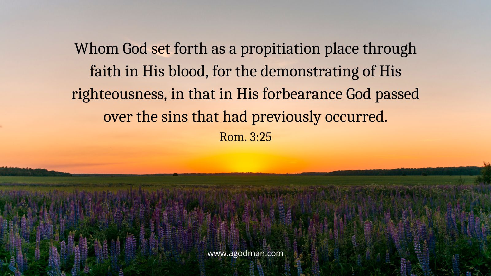 Whom God set forth as a propitiation place through faith in His blood, for the demonstrating of His righteousness, in that in His forbearance God passed over the sins that had previously occurred. Rom. 3:25
