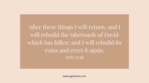 After these things I will return, and I will rebuild the tabernacle of David which has fallen; and I will rebuild its ruins and erect it again. Acts 15:16