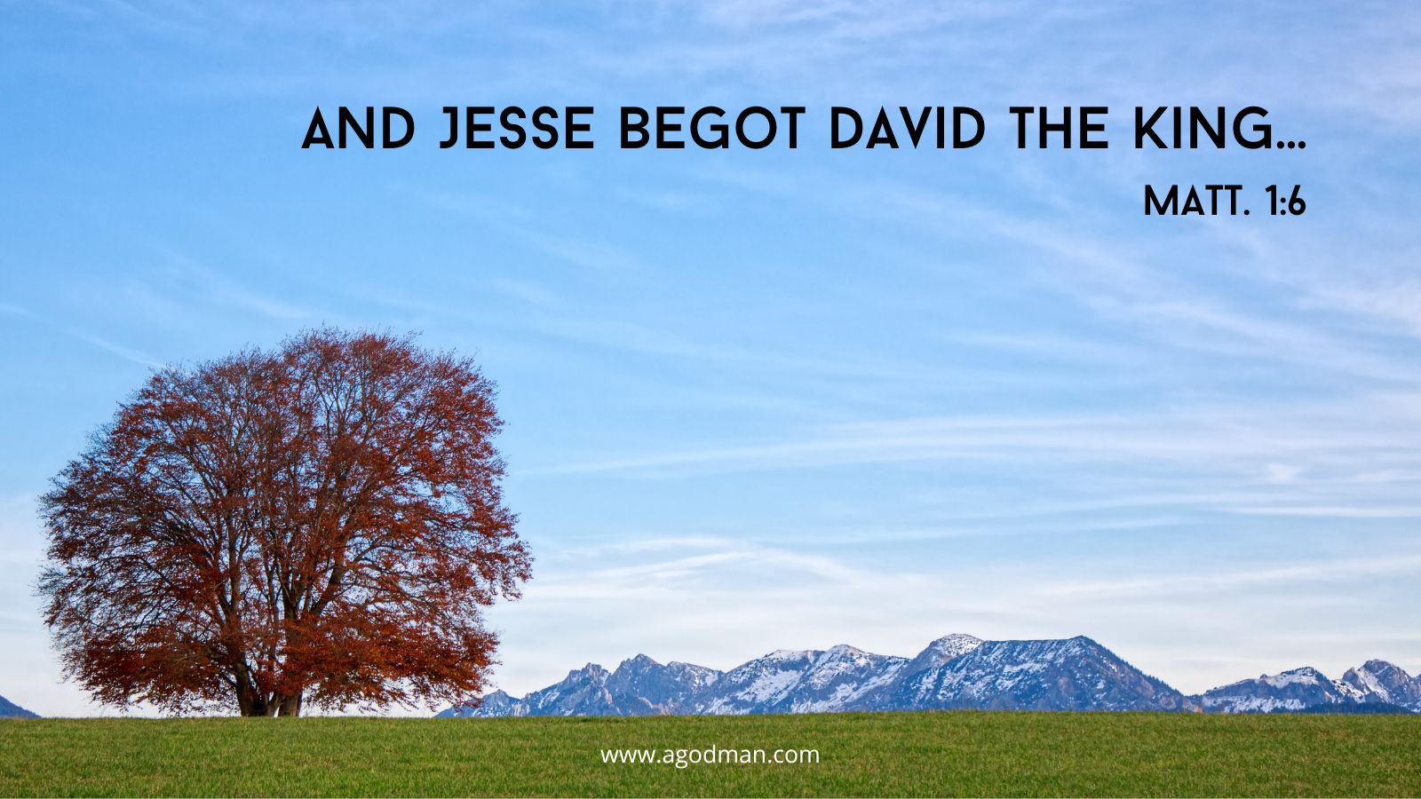 And Jesse begot David the king... Matt. 1:6