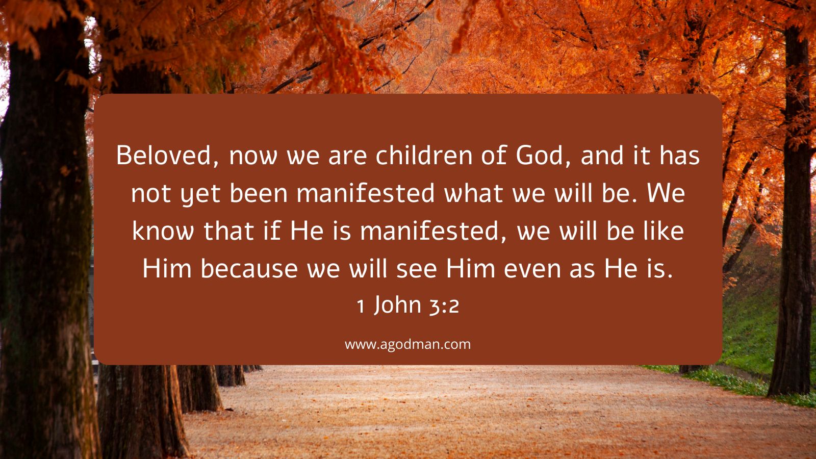 Beloved, now we are children of God, and it has not yet been manifested what we will be. We know that if He is manifested, we will be like Him because we will see Him even as He is. 1 John 3:2