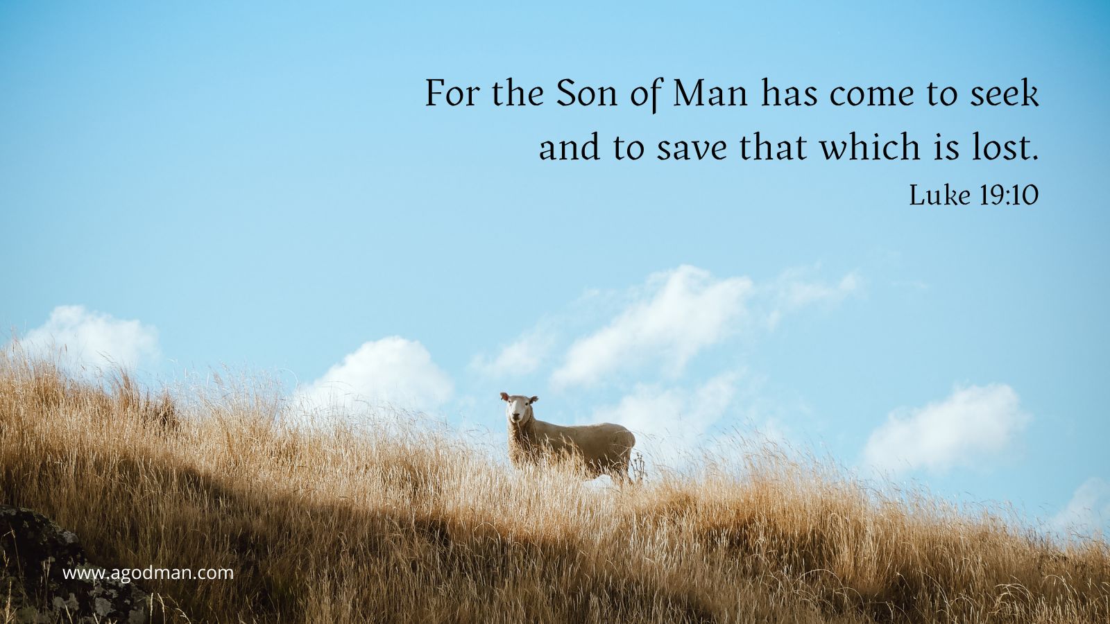 For the Son of Man has come to seek and to save that which is lost. Luke 19:10