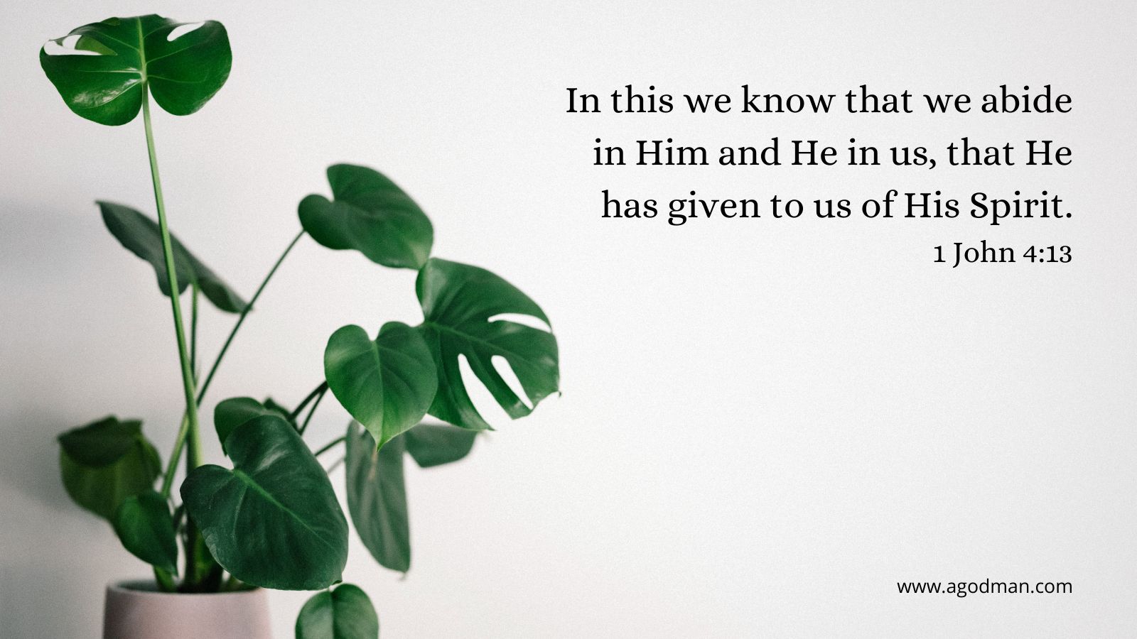 In this we know that we abide in Him and He in us, that He has given to us of His Spirit. 1 John 4:13