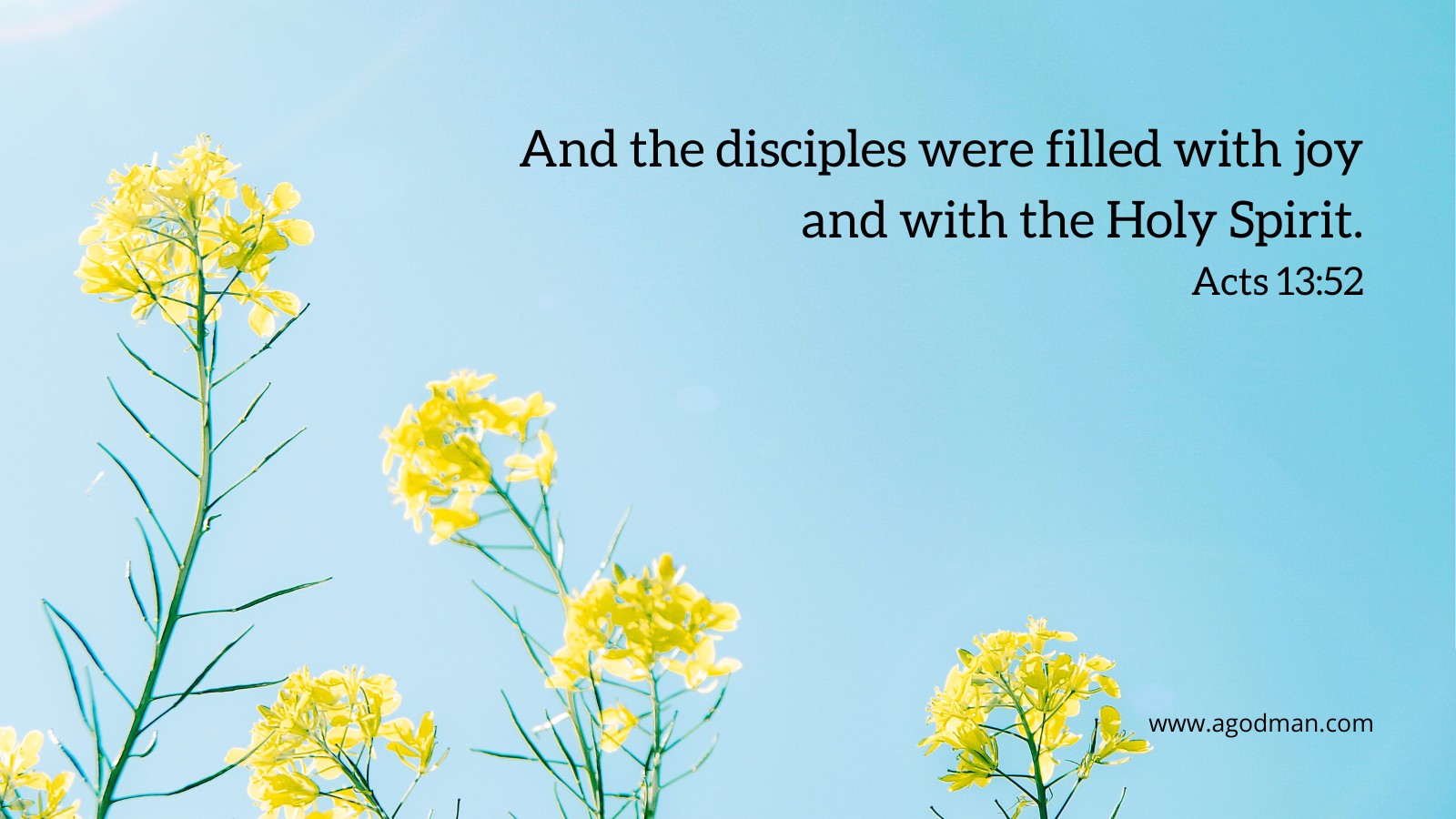 And the disciples were filled with joy and with the Holy Spirit. Acts 13:52