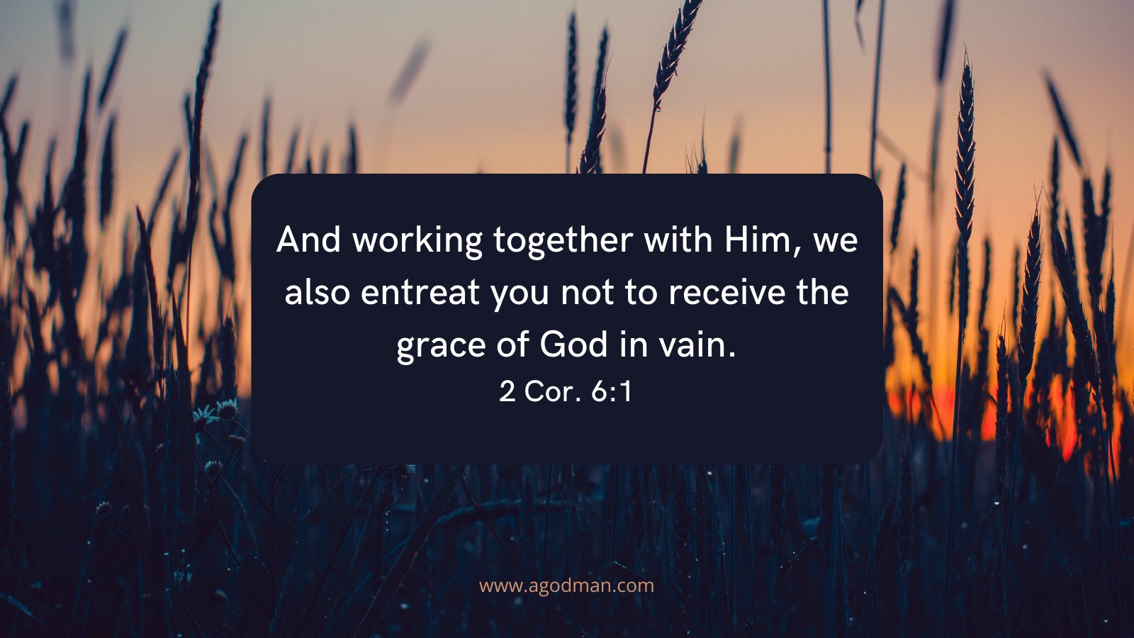 And working together with Him, we also entreat you not to receive the grace of God in vain. 2 Cor. 6:1