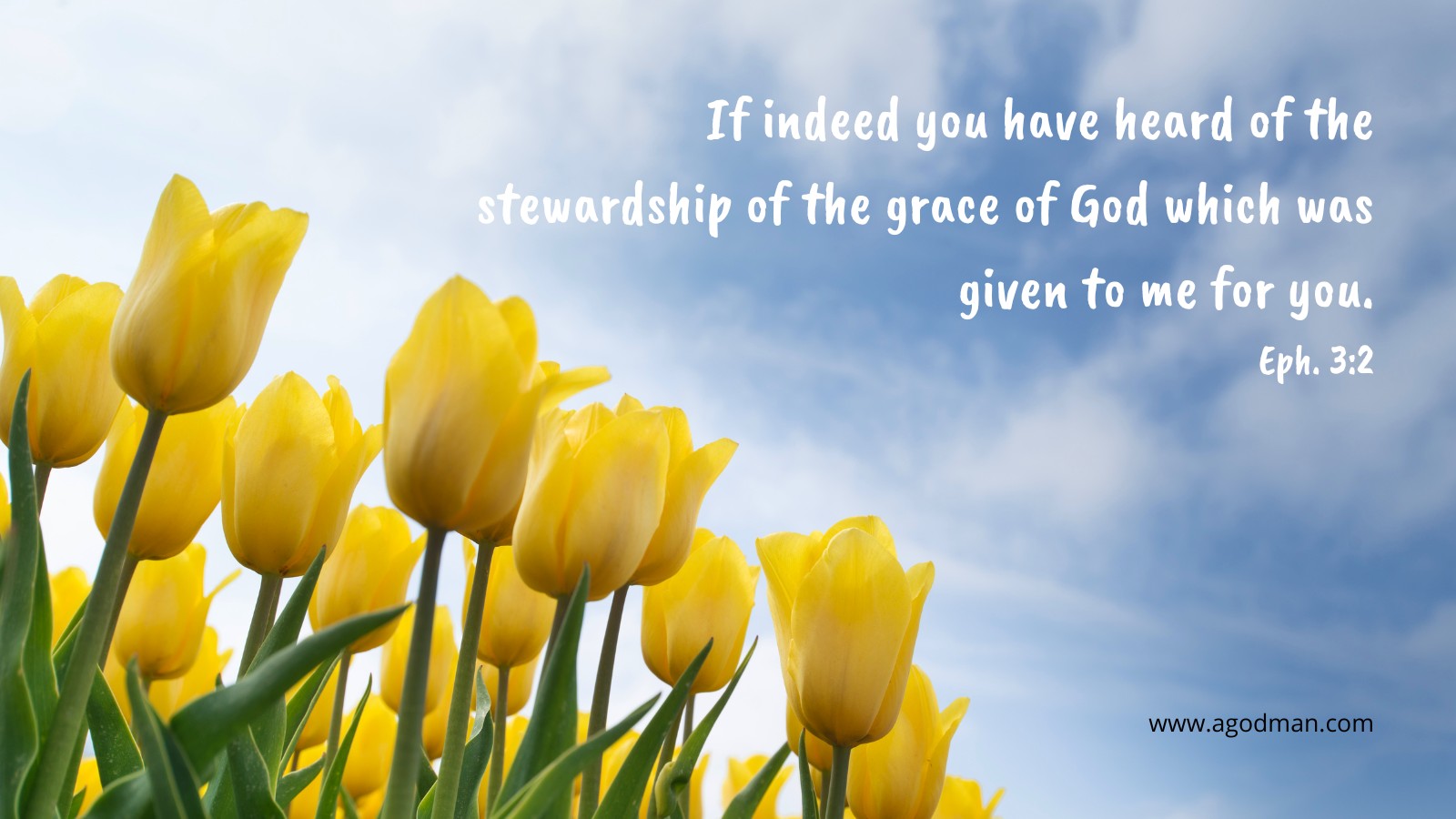 If indeed you have heard of the stewardship of the grace of God which was given to me for you. Eph. 3:2