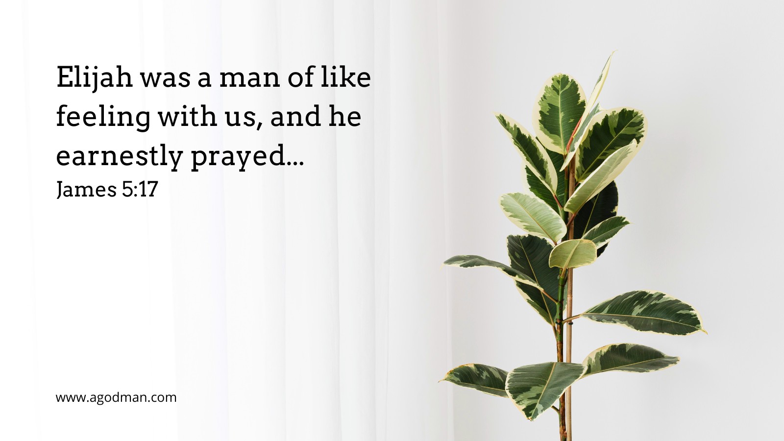 Elijah was a man of like feeling with us, and he earnestly prayed... James 5:17