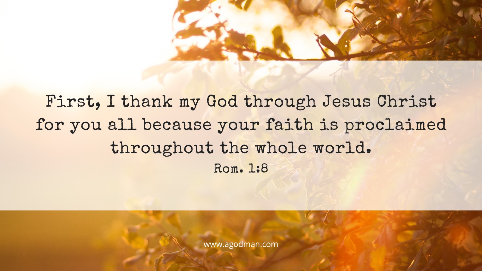 First, I thank my God through Jesus Christ for you all because your faith is proclaimed throughout the whole world. Rom. 1:8