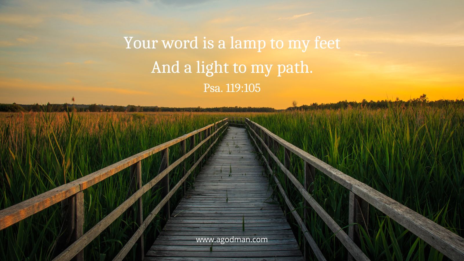 Your word is a lamp to my feet / And a light to my path. Psa. 119:105
