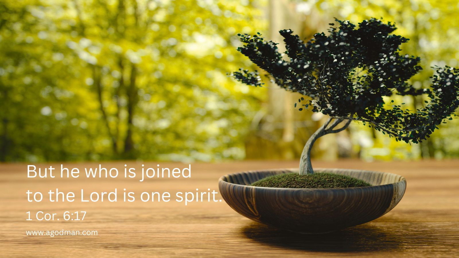 But he who is joined to the Lord is one spirit. 1 Cor. 6:17