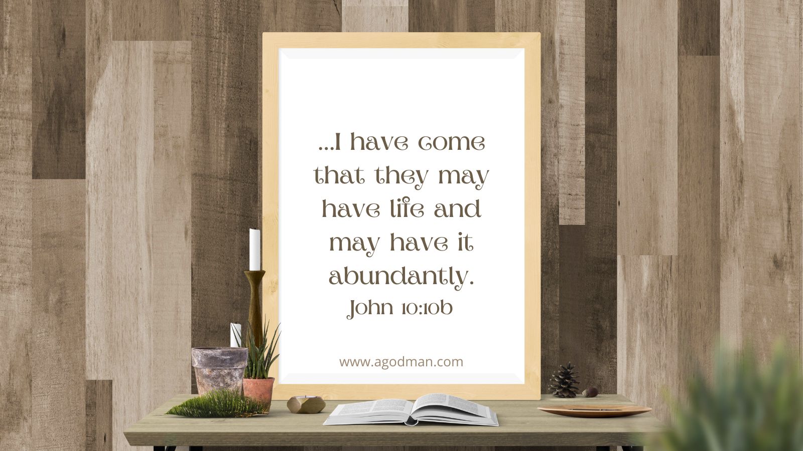 ...I have come that they may have life and may have it abundantly. John 10:10b