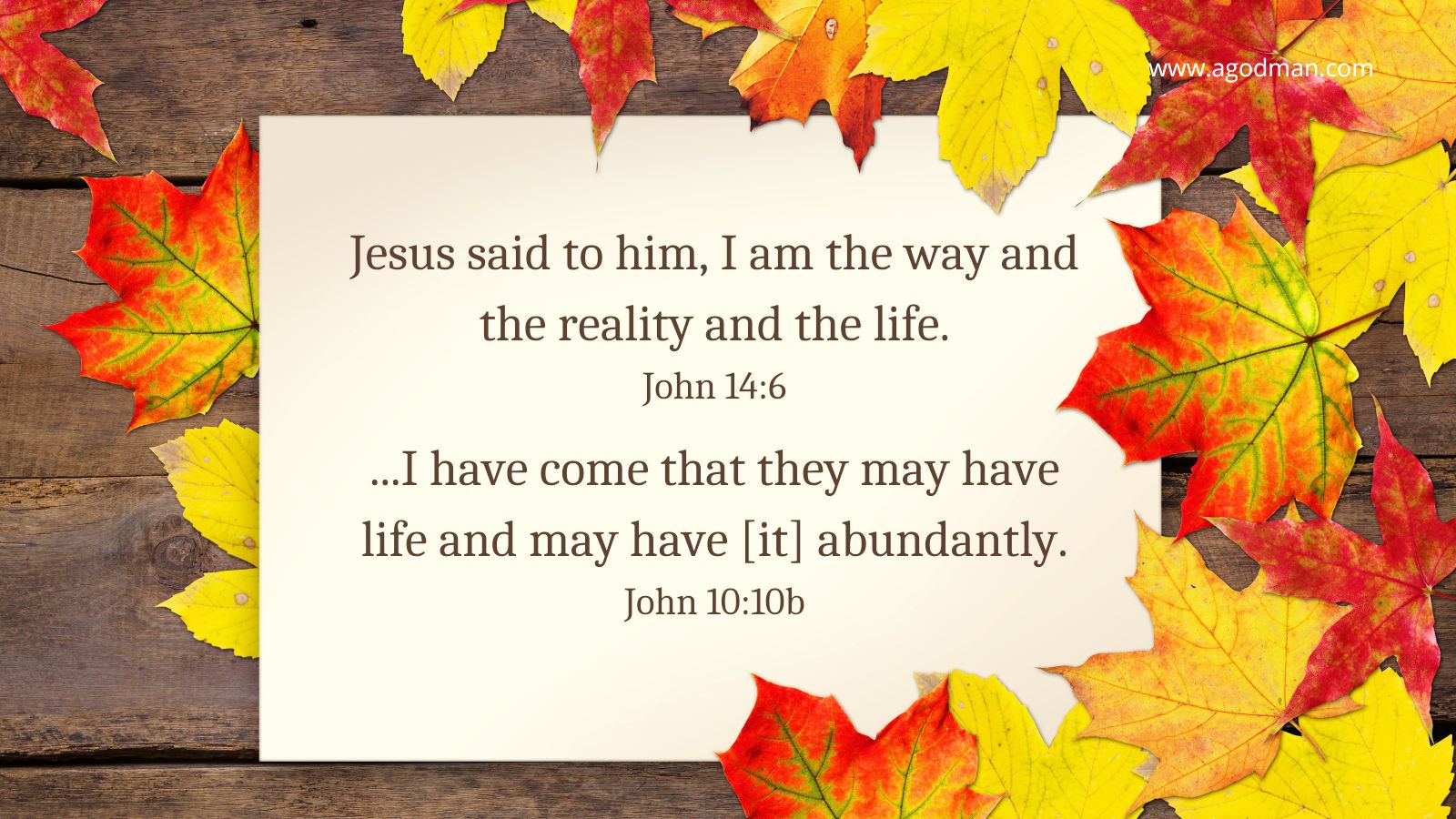 Jesus said to him, I am the way and the reality and the life John 14:6 ...I have come that they may have life and may have [it] abundantly. John 10:10b