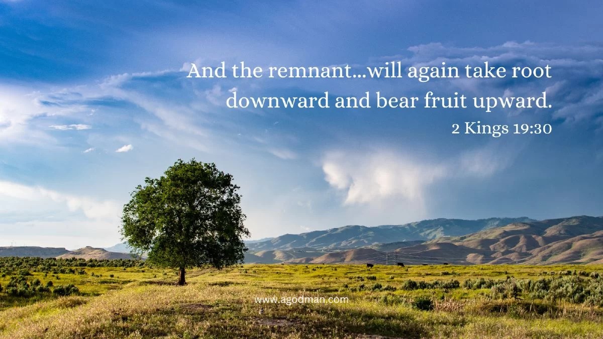 And the remnant...will again take root downward and bear fruit upward. 2 Kings 19:30