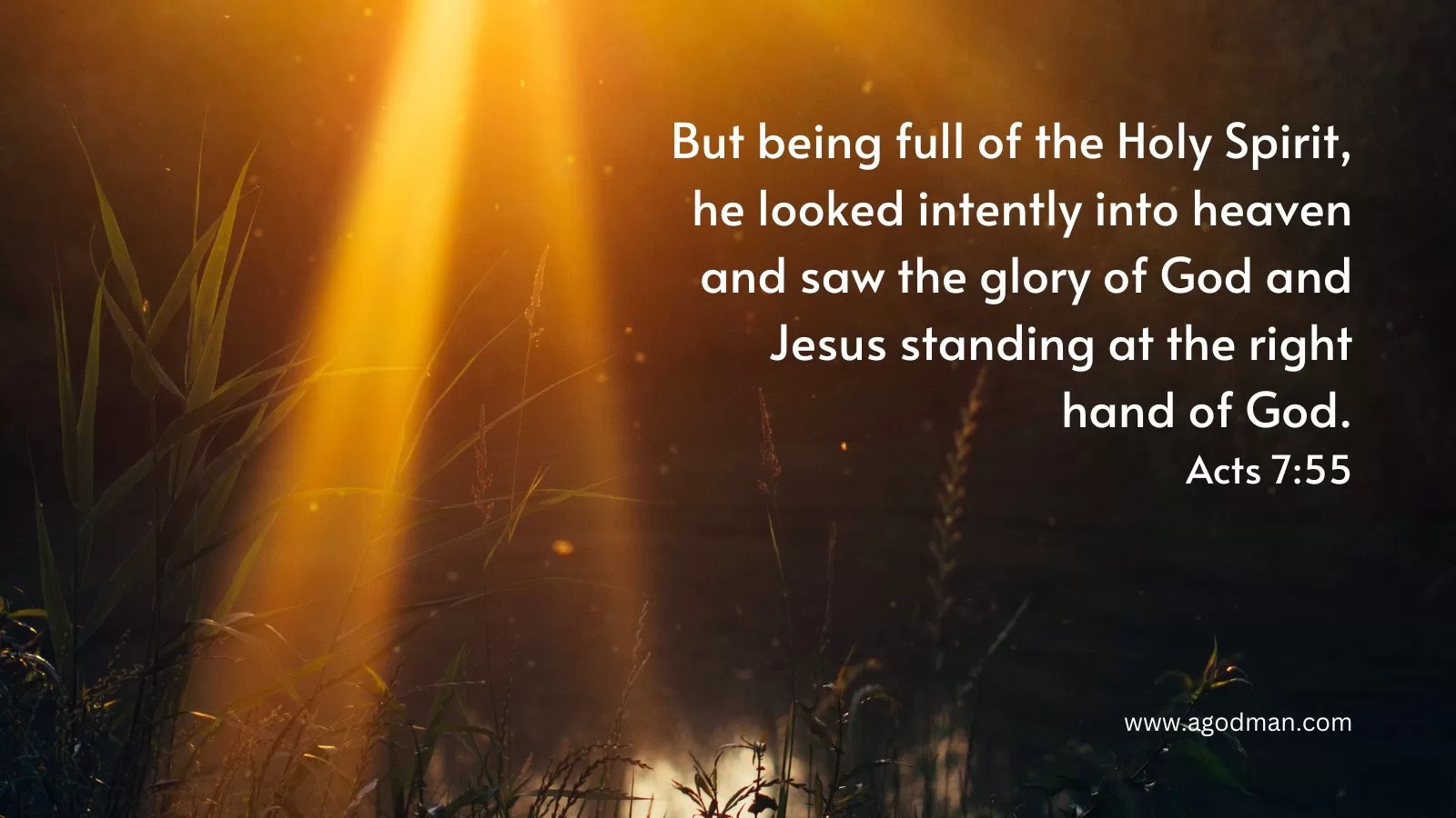 But being full of the Holy Spirit, he looked intently into heaven and saw the glory of God and Jesus standing at the right hand of God. Acts 7:55