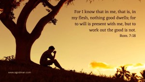 For I know that in me, that is, in my flesh, nothing good dwells; for to will is present with me, but to work out the good is not. Rom. 7:18