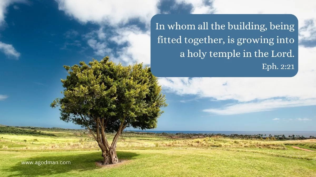 In whom all the building, being fitted together, is growing into a holy temple in the Lord. Eph. 2:21