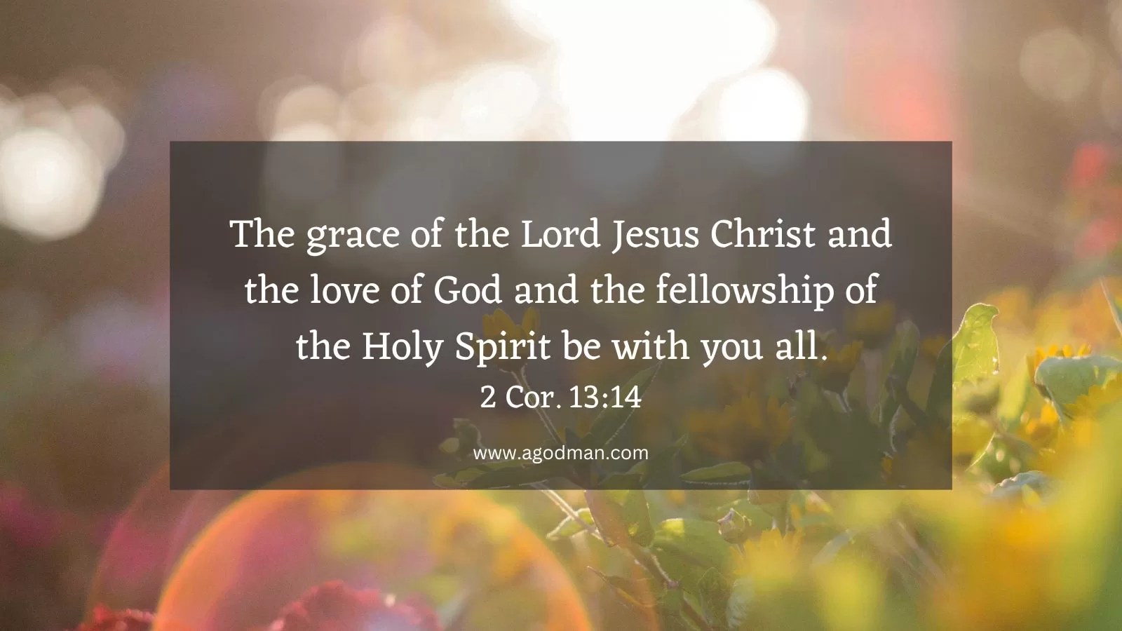 The grace of the Lord Jesus Christ and the love of God and the fellowship of the Holy Spirit be with you all. 2 Cor. 13:14