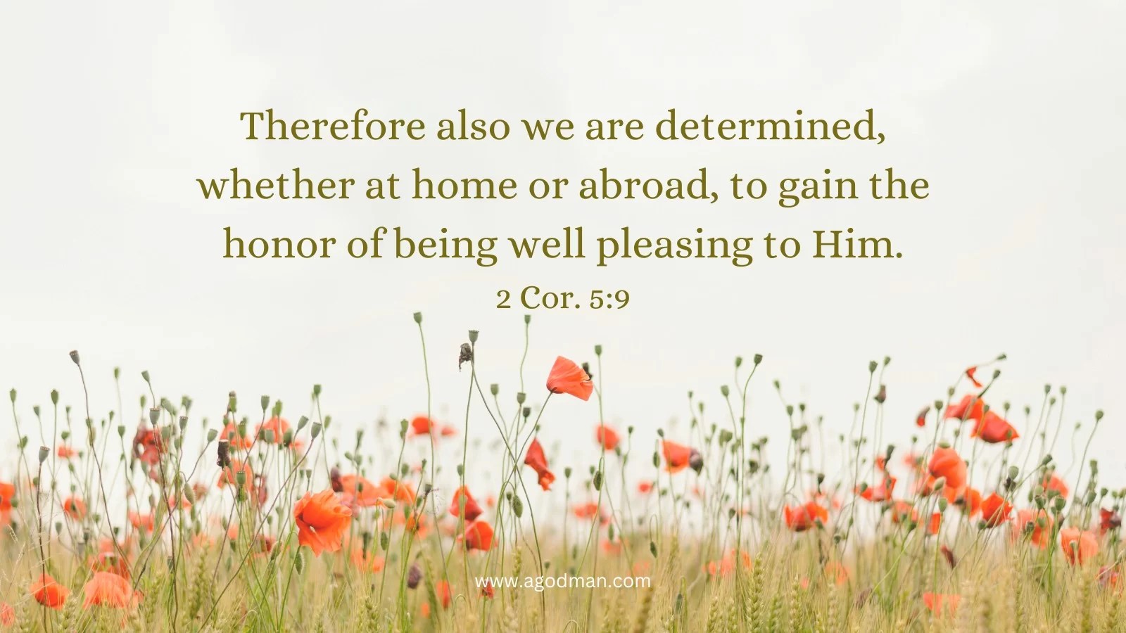Therefore also we are determined, whether at home or abroad, to gain the honor of being well pleasing to Him. 2 Cor. 5:9
