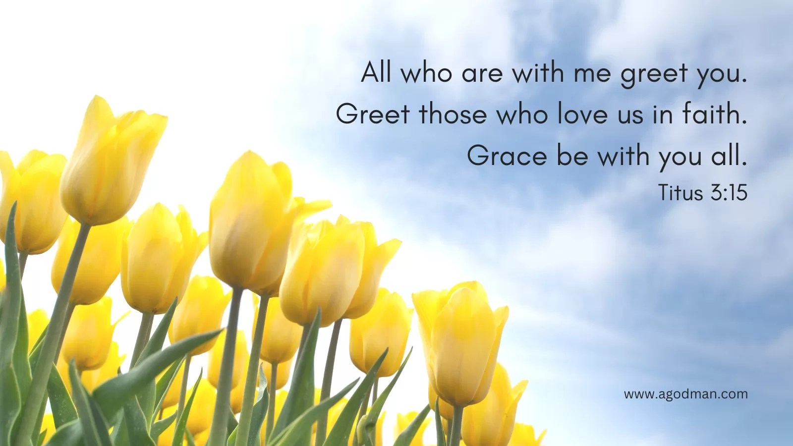 All who are with me greet you. Greet those who love us in faith. Grace be with you all. Titus 3:15