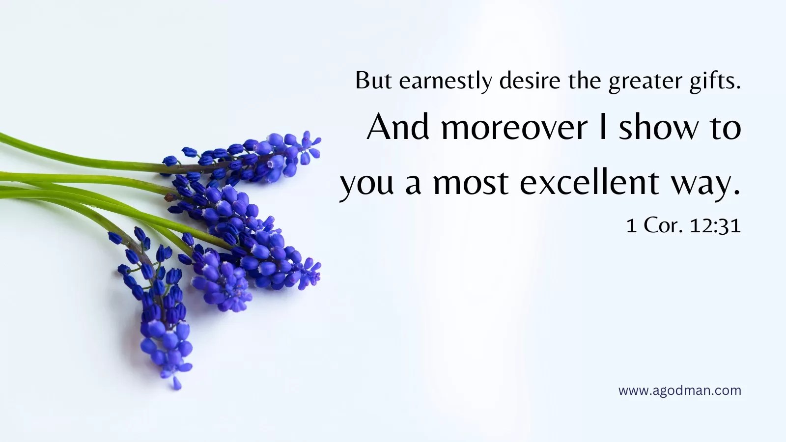 But earnestly desire the greater gifts. And moreover I show to you a most excellent way. 1 Cor. 12:31