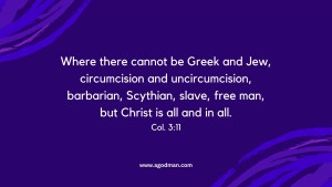 Where there cannot be Greek and Jew, circumcision and uncircumcision, barbarian, Scythian, slave, free man, but Christ is all and in all. Col. 3:11
