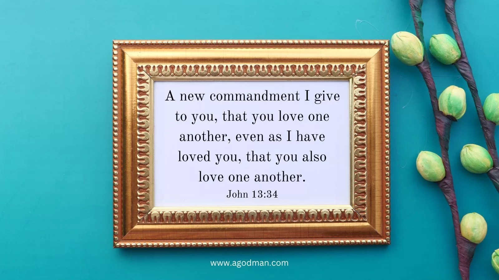 A new commandment I give to you, that you love one another, even as I have loved you, that you also love one another. John 13:34
