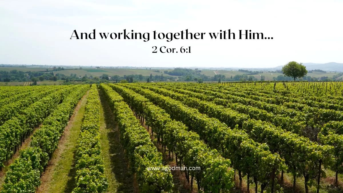 And working together with Him... 2 Cor. 6:1