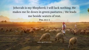 Jehovah is my Shepherd; I will lack nothing. He makes me lie down in green pastures; / He leads me beside waters of rest. Psa. 23:1-2