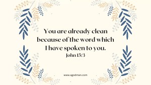 You are already clean because of the word which I have spoken to you. John 15:3