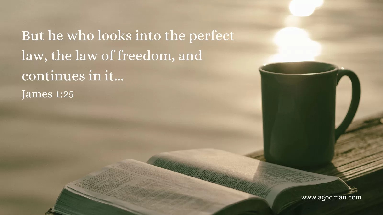 But he who looks into the perfect law, the law of freedom, and continues in it... James 1:25