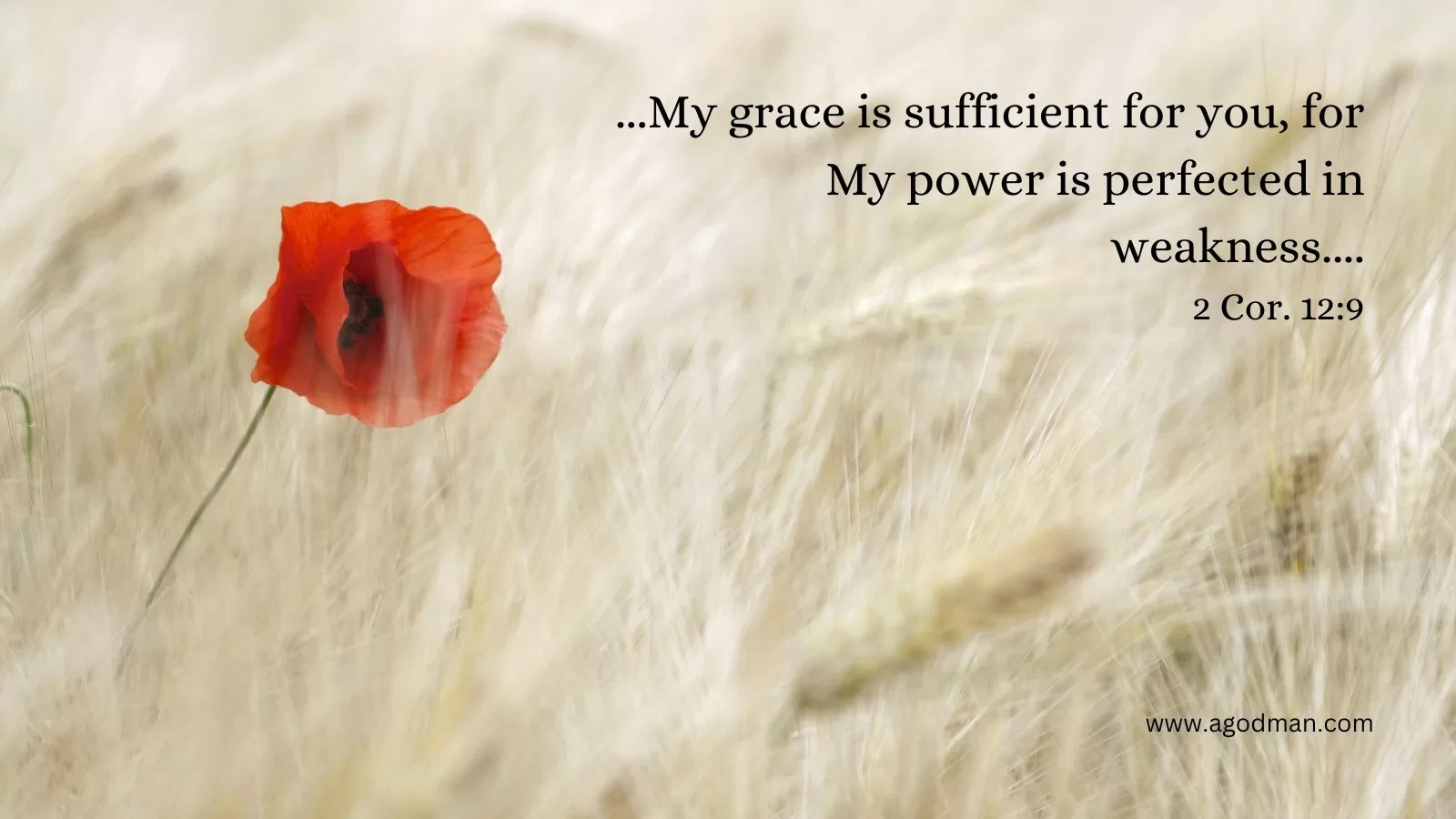 ...My grace is sufficient for you, for My power is perfected in weakness.... 2 Cor. 12:9