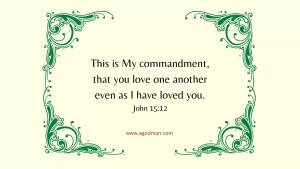 This is My commandment, that you love one another even as I have loved you. John 15:12