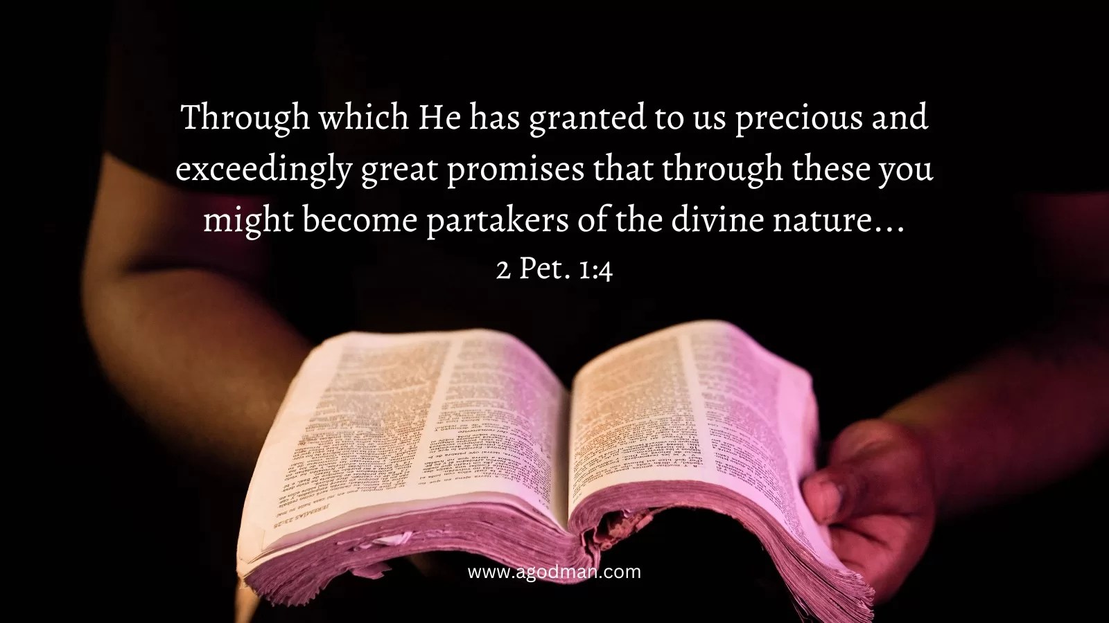 Through which He has granted to us precious and exceedingly great promises that through these you might become partakers of the divine nature... 2 Pet. 1:4