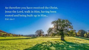As therefore you have received the Christ, Jesus the Lord, walk in Him, having been rooted and being built up in Him... Col. 2:6-7