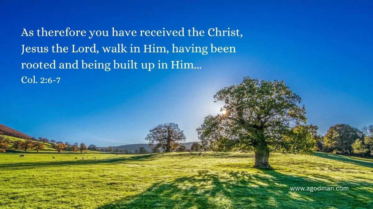 As therefore you have received the Christ, Jesus the Lord, walk in Him, having been rooted and being built up in Him... Col. 2:6-7